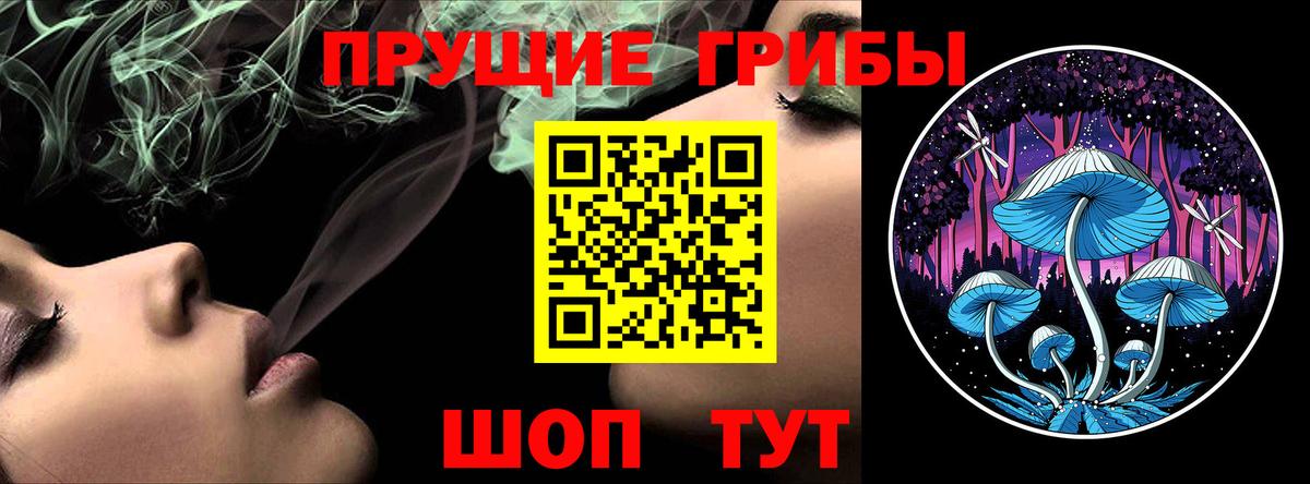 Псилоцибиновые грибы мицелий Рузаевка